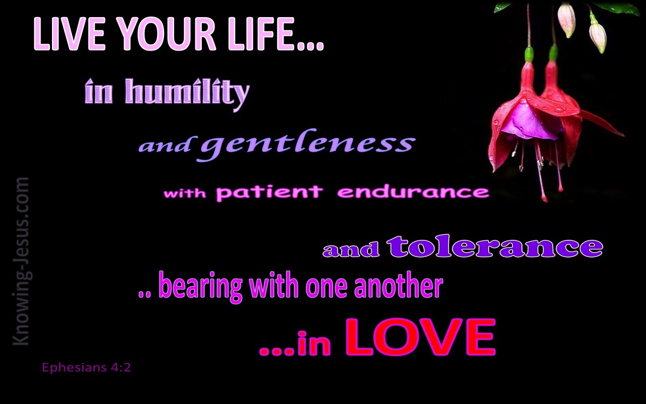 Ephesians 4:2 Live In Humility, Gentleness, Patience And Love (pink)